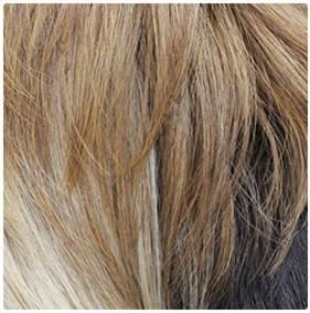 Bobbi Boss Deep Part Lace Front Wig MBLF30 LIA
