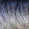 Bobbi Boss Human Hair Blend 13X6 Frontal Lace Wig MOGLWJE26 JERRY CURL 26