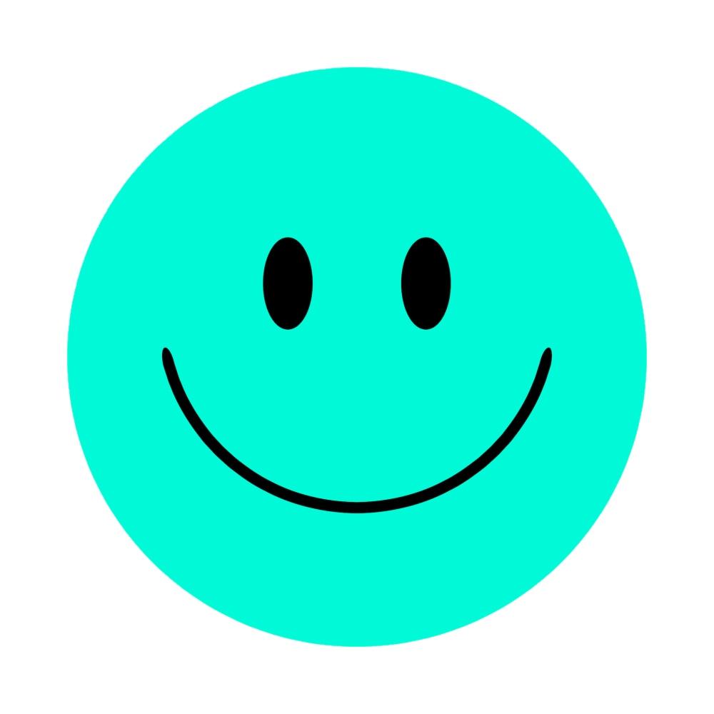 Acrylic Mountable Smilies! - 7x7 inch / Sea Foam Green